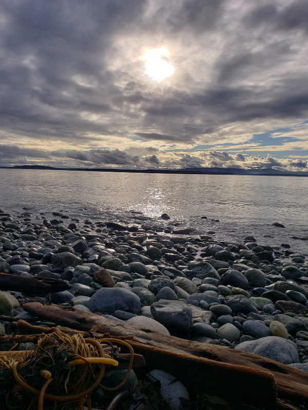 Driftwood is shown on a rocky beach. Over the water the sun is obscured by gray clouds.