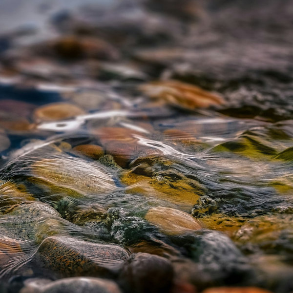 Water gently washes over pebbles in different shades of brown and gray